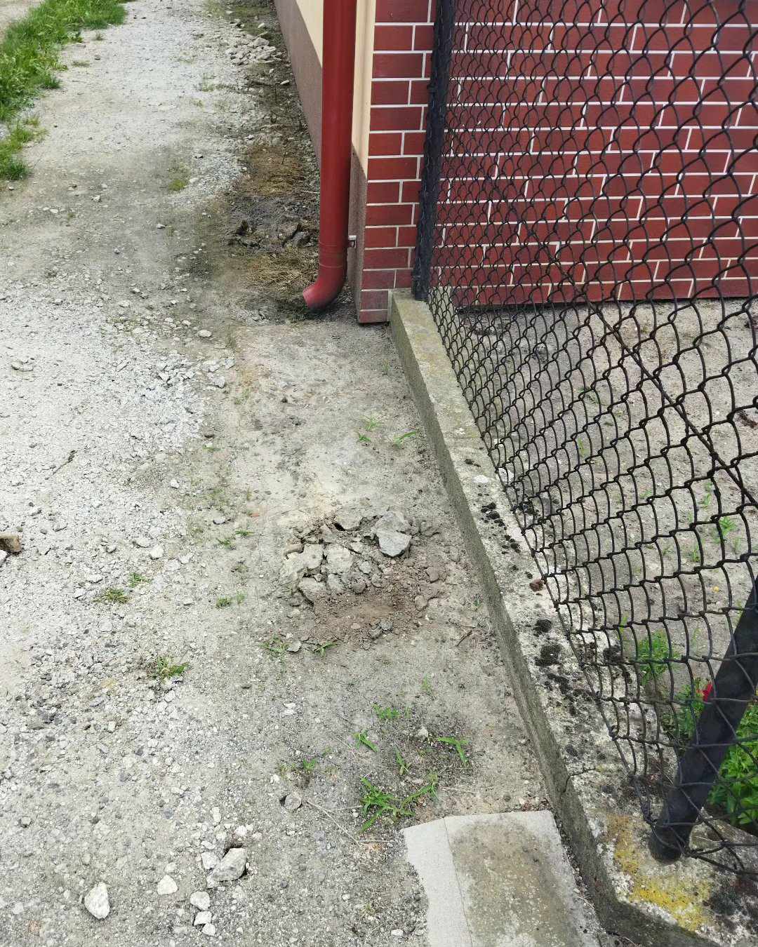 474978897_2040762356428220_6738934665475133398_n