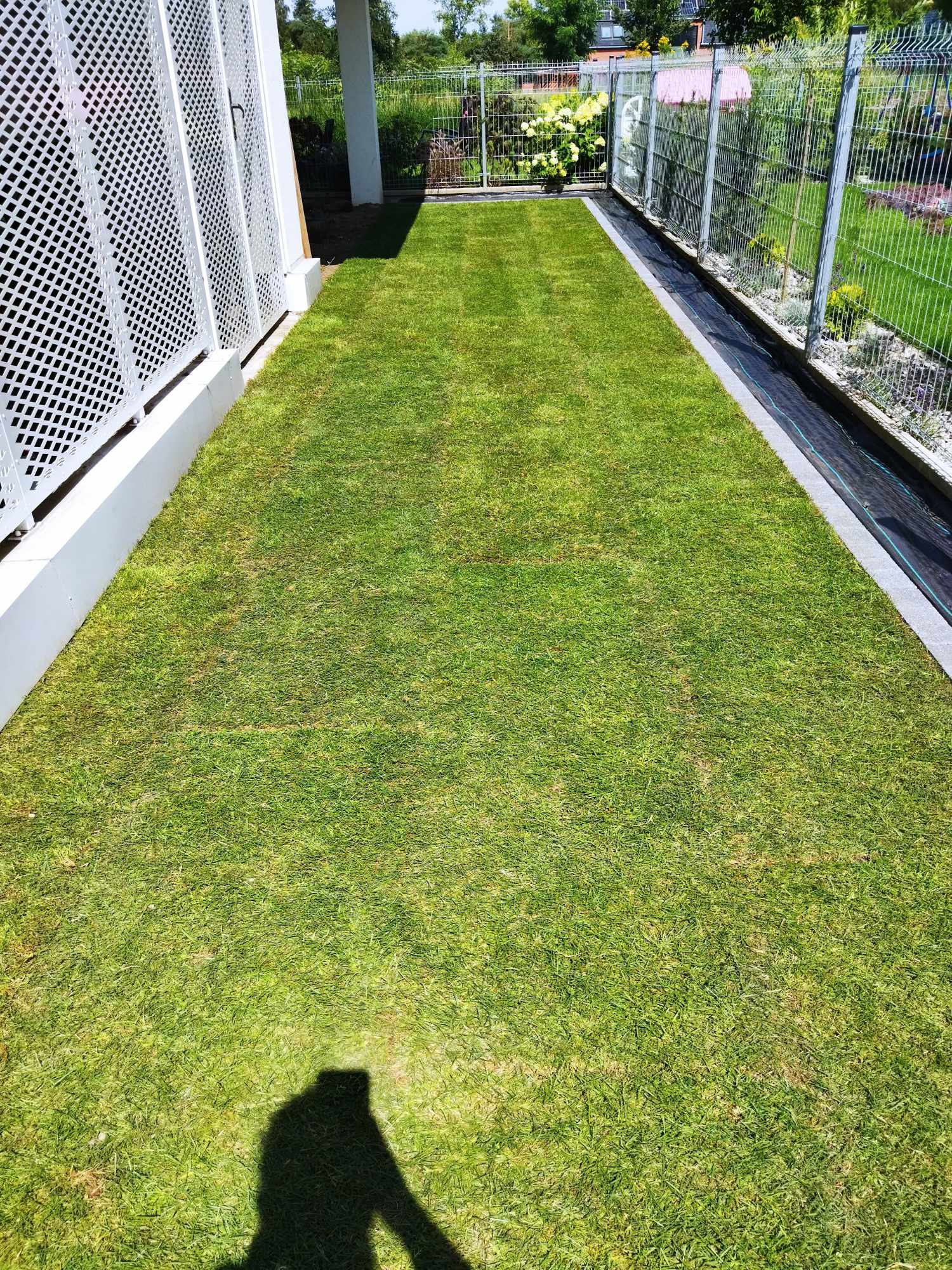 476388183_1147947833451505_3773174815585454532_n