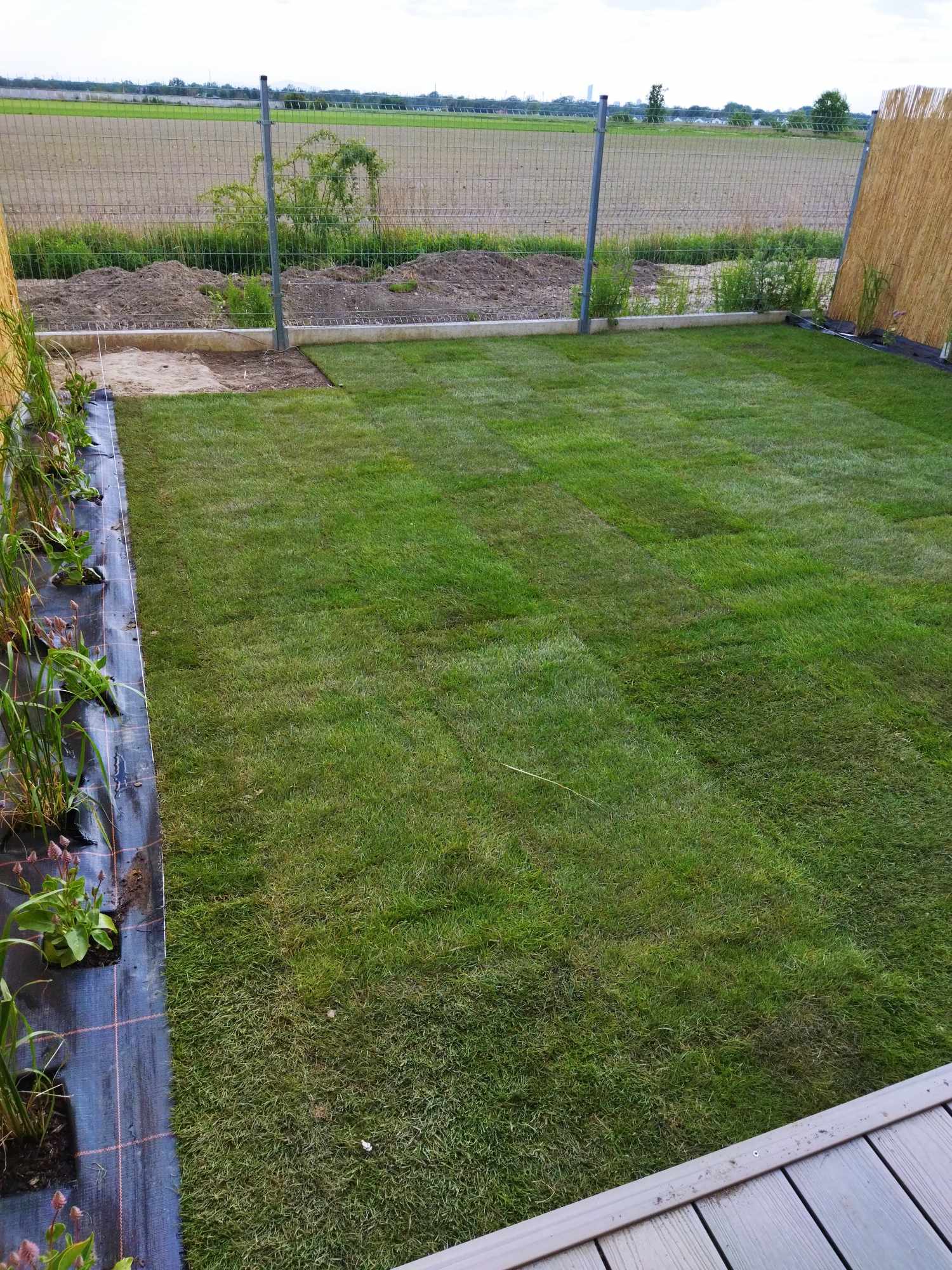 478922393_933796185567444_2780797009032662769_n